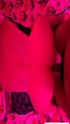 91风流-946318/4_946318.jpeg