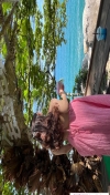 91风流-948687/2_948687.jpeg