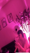 双井大灯