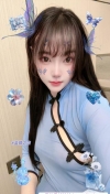 普陀小野猫